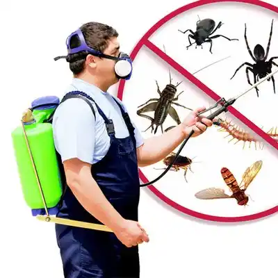 pest control Lake Norman of Catawba